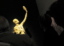 Musée georges Pompidou de Metz-Squelette